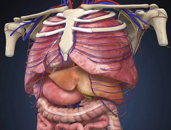 44d1d46c-4134-538c-93f2-4211c0f09097.png image.png